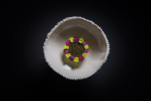 Chef Dominique Crenn – Example Plating – King Crab Caviar