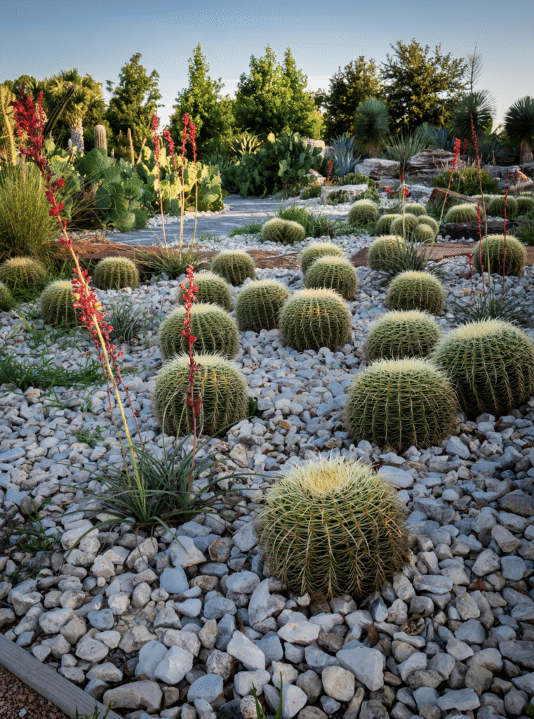 Global Collection Garden at Houston Botanic Garden (Photo Lance Childers)
