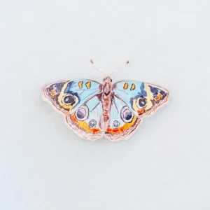 Catherine Cartie – Blue and Orange Butterfly Acrylic Art Block Large