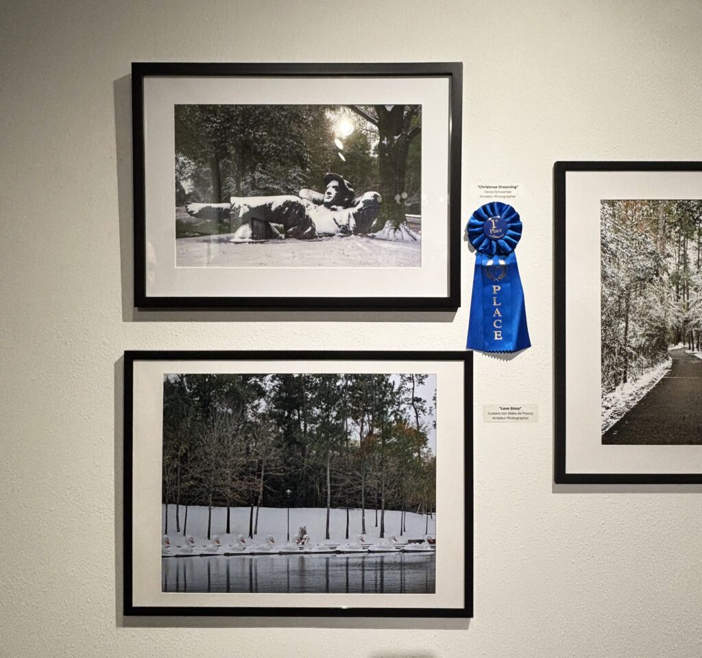 "The Dreamer" was first in the adult amateur photographer category in the first photography contest held by The Woodlands Arts Council. (Photo by Laura Landsbaum)
