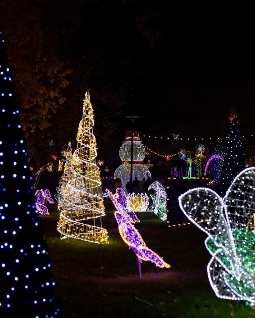 The Woodlands Church Festival of Lights is full of magic and wonder. 