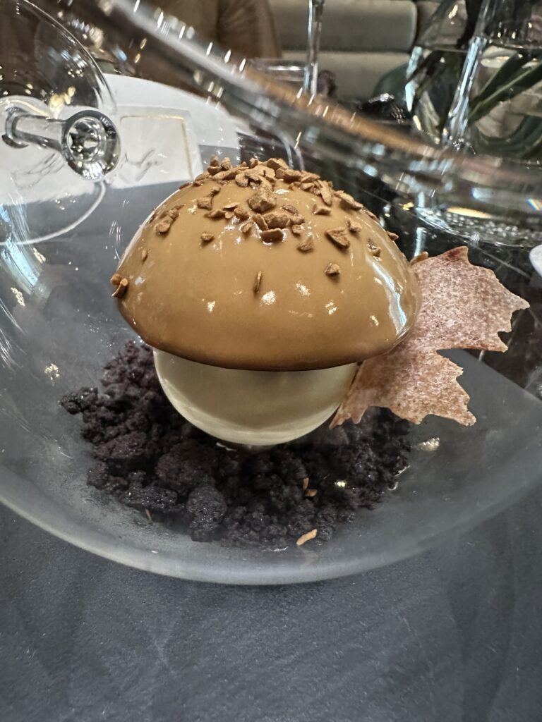 The chocolate 'mushroom' served at the Bar Moon luncheon, hosted by The Bastion Collection  (Photo by Shane Dante)