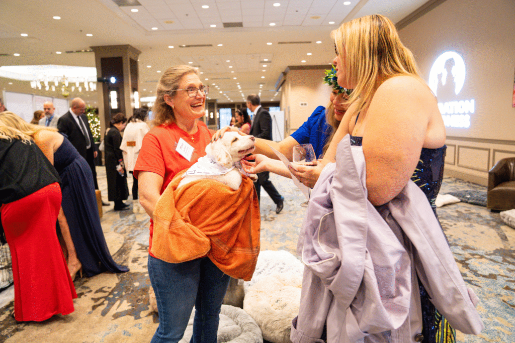 Because of Canines, Cats, and Cabernet's on-site adoption lounge, 11 dogs and cats found their forever families that night. (Photo by Frances Peña)