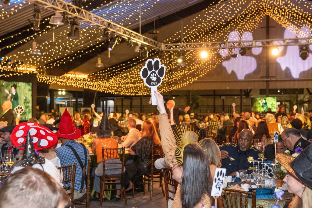 Live Auction at Houston SPCA's 5th Annual Howl-O-Ween Ball (Photo by Jacob Power)