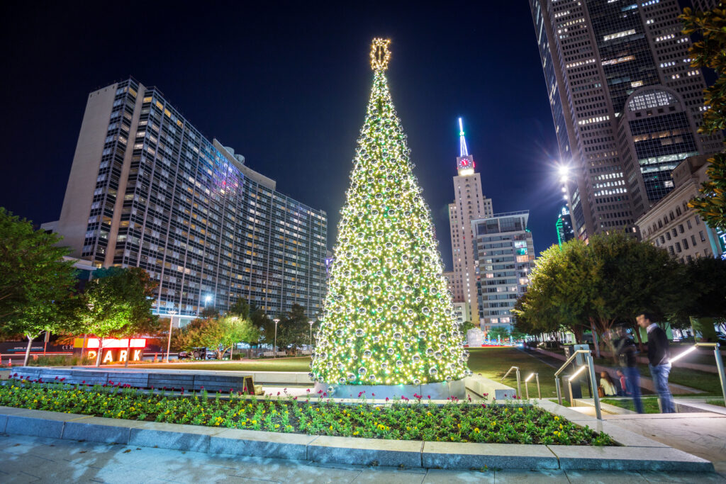 Main Street Garden City Rink (Photo by Joseph Haubert)