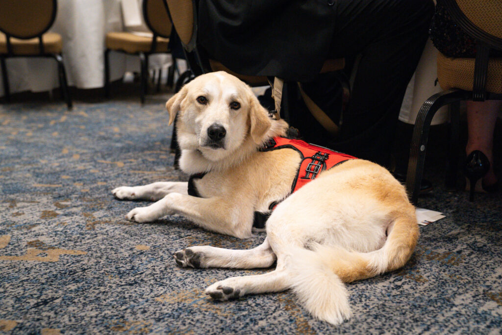 Operation Kindness Success Story Chai (Photo by Frances Peña)