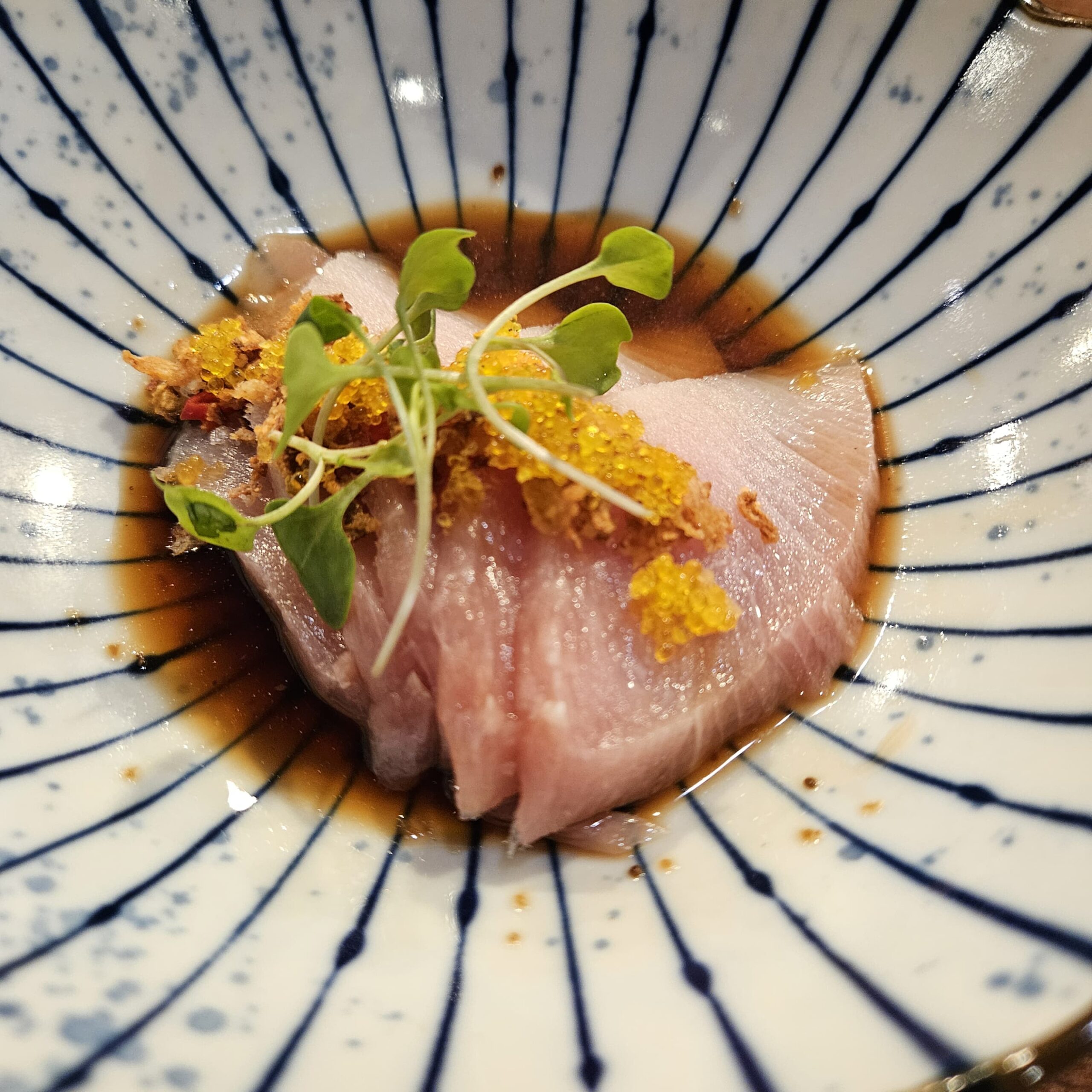 new sushi Fort Worth