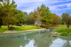 3100 Trail’s End in Brenham (courtesy of Nan & Company Properties) (1)