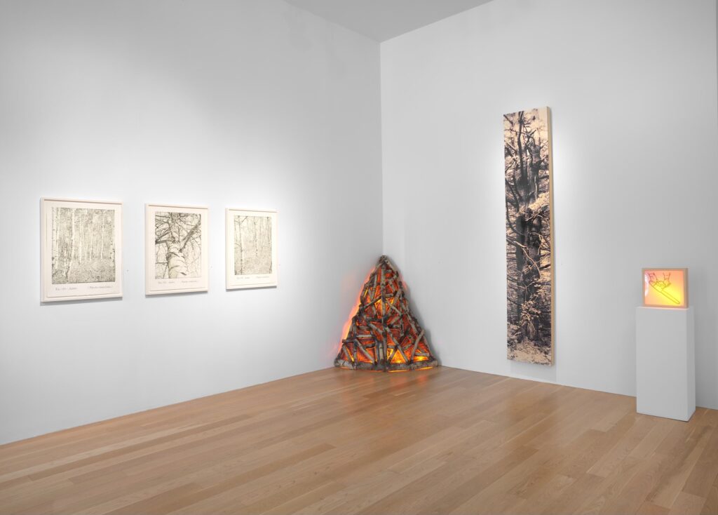 An interior installation view of “50th Anniversary Exhibition, Part I” at Moody Gallery. (Photo courtesy Moody Gallery)