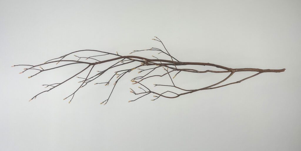 Frances Bagley, “Reach,” 2015-2025, at Andrew Durham Gallery (Courtesy  Andrew Durham Gallery)