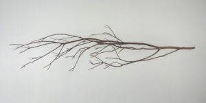 7. Frances Bagley – Reach