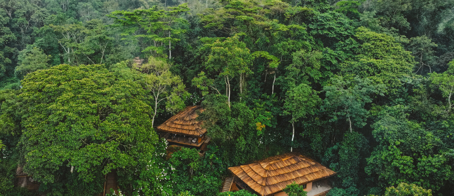 Gorilla Forest Lodge A&K Sanctuary