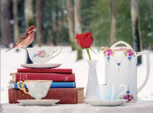 Finch and the Party Crashers Patti Gary