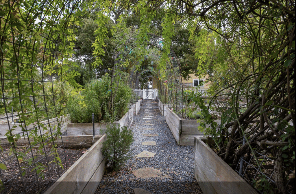 Suzanne Longley created verdant pathways through native plants on her farm in Brenham. (Photo by Courtesy of Nan & Company Properties)