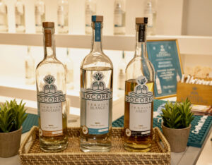 Korshak Holiday Party 2025 (Photo by George Fiala)