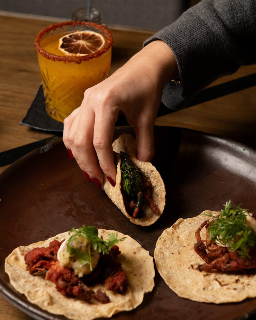 Sharable tacos de chicharrón and other bar bites are in store for Almacén El Gallo. (Courtesy)