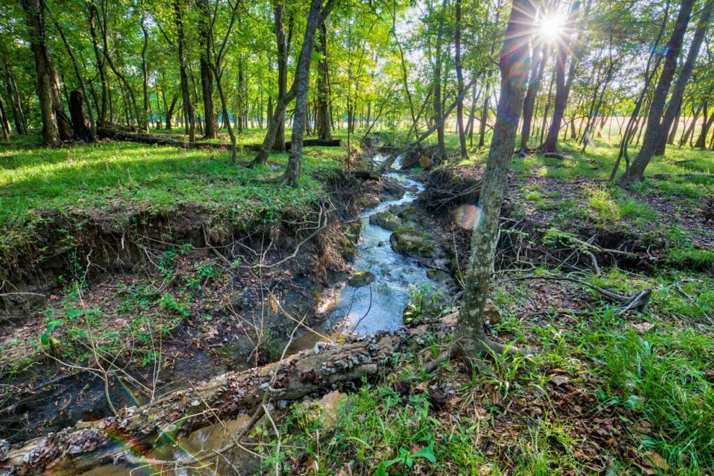 The creek bottom is just one of the varied terrains spreading across the 665 acres of Whitehall Ranch.