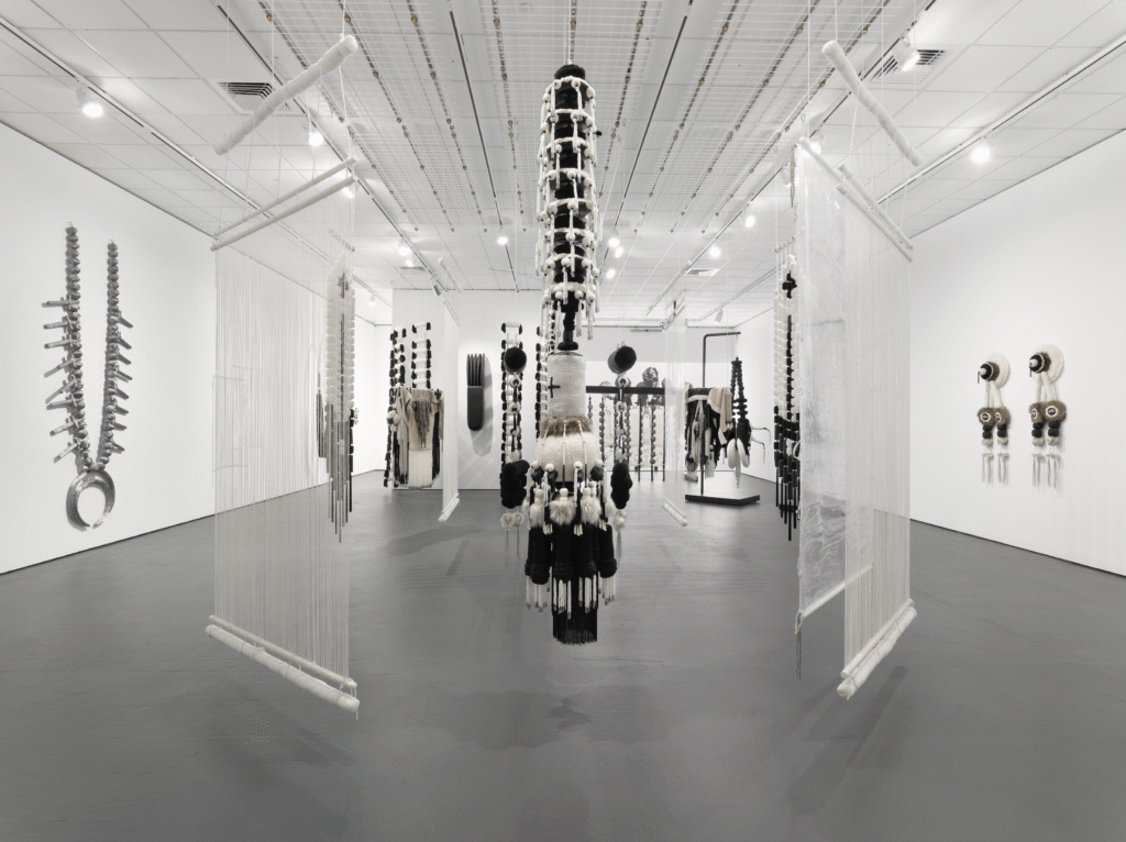 Installation view of
"Eric-Paul Riege: ojo|-|ólǫ́," opening at Henry Art Gallery March 14.
(Photo by Julia Featheringill. Courtesy The Bell / Brown Arts Institute.)