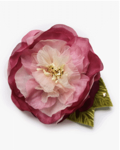 Helena Simon Camelia