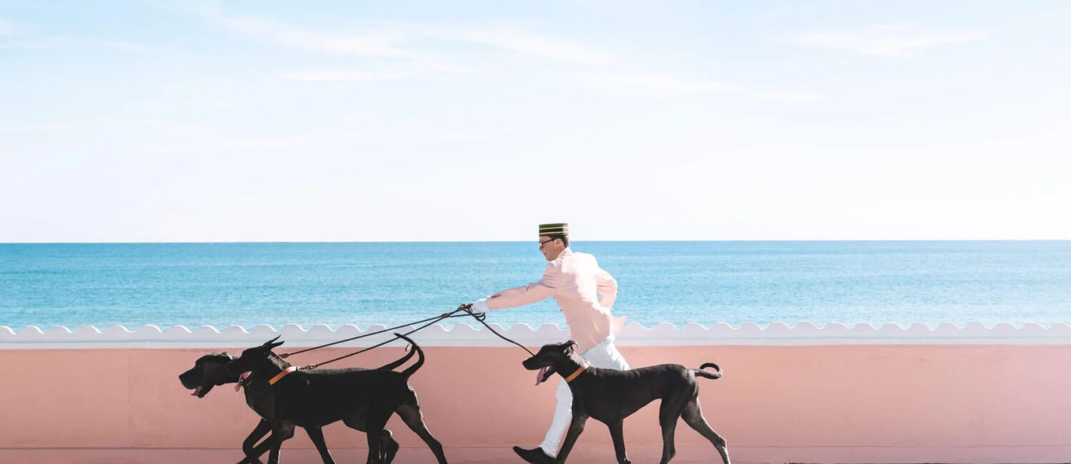 Nick Mele (Photo by Nick Mele )