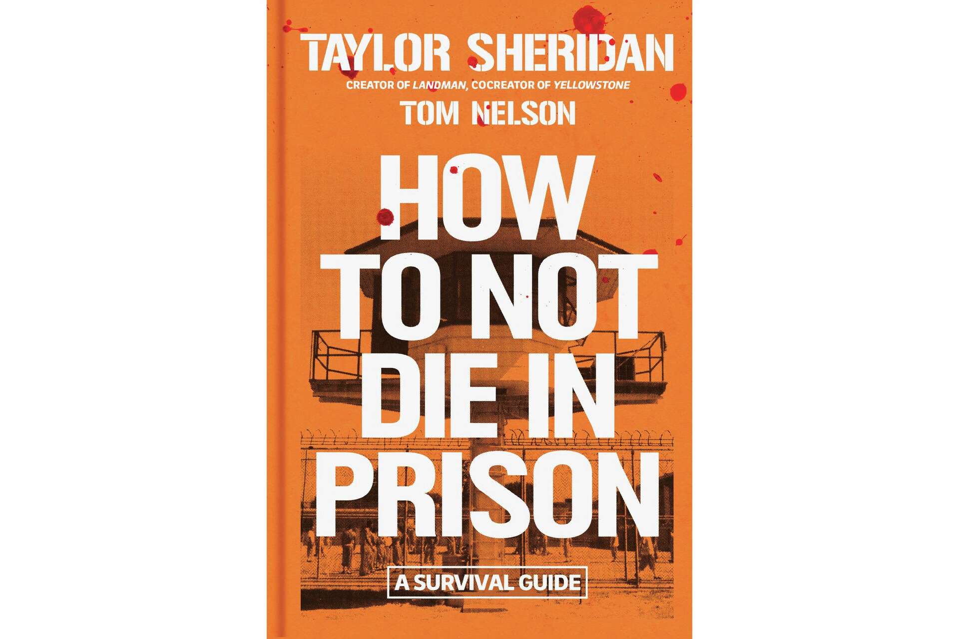 Taylor Sheridan book