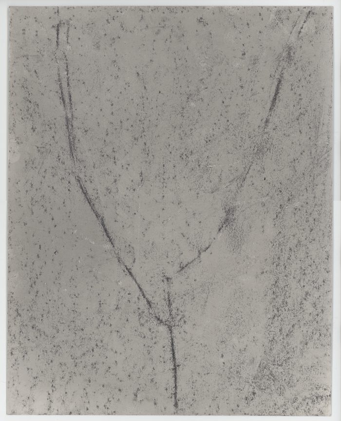 Dionne Lee’s "Untitled (Studio Test)," 2023 (Courtesy of the artist)