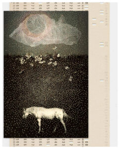 Linda Plaisted Number_the_Stars