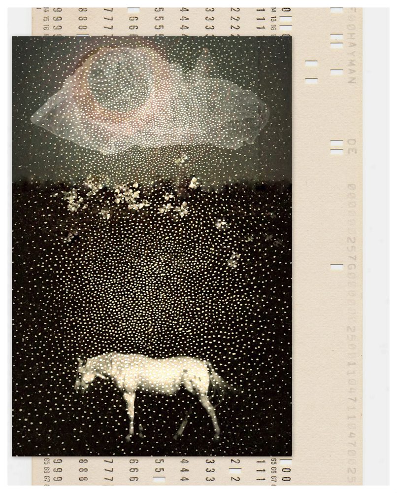 Linda Plaisted’s "Number the Stars," 2025 (Courtesy of the artist)