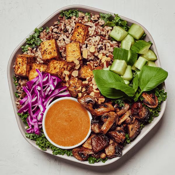 Shroomami Sweet Green