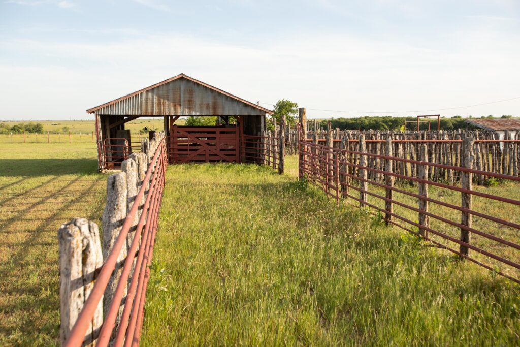 Maverick Golf & Ranch Club will lean into the city’s deep Western history and culture with a working ranch built around a regenerative farming program. (Courtesy Discovery Land Company)
