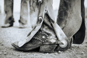 Between Flurries and Plans [9] Belton McMurrey