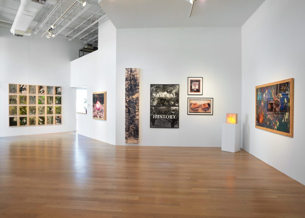 An installation view of "MANUAL: The Collaboration of Ed Hill & Suzanne Bloom, 1974-2024" is on view through April 25, 2026 at Moody Gallery in Houston. (Courtesy Moody Gallery)