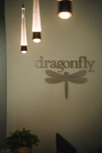 Dragonfly Scan (Photo by Dragonfly Scan)