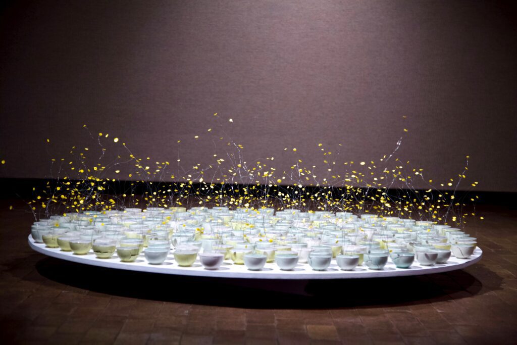 "First New Year" by Du Chau (2015) (Photo by Anh Thuy Nguyen)