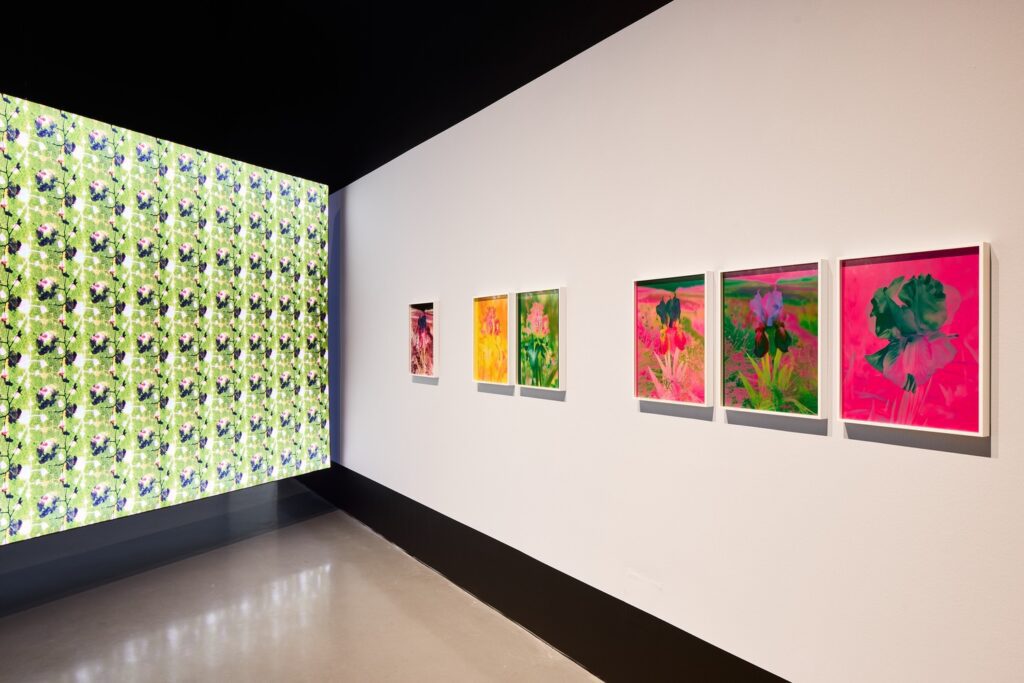 "Mons Steichen" (series) (2024-25) by Lisa Oppenheim is featured in the exhibition "Imaging After Photography," which runs through May 9, 2026 at the Moody Center for the Arts at Rice University. (Photo by Alex Marks)