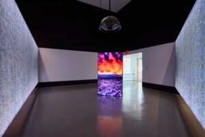 RefikAnadol_QuantumMemoriesNatureStudies_ImagingafterPhotography_AlexMarks_MG_5561 (2)