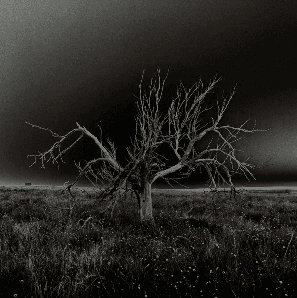 Osamu James Nakagawa, "Amache 03, Granada, Colorado," 2022-2023, at FotoFest