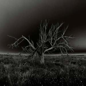 Screenshot 2026-03-06 at 11.43.00 AM