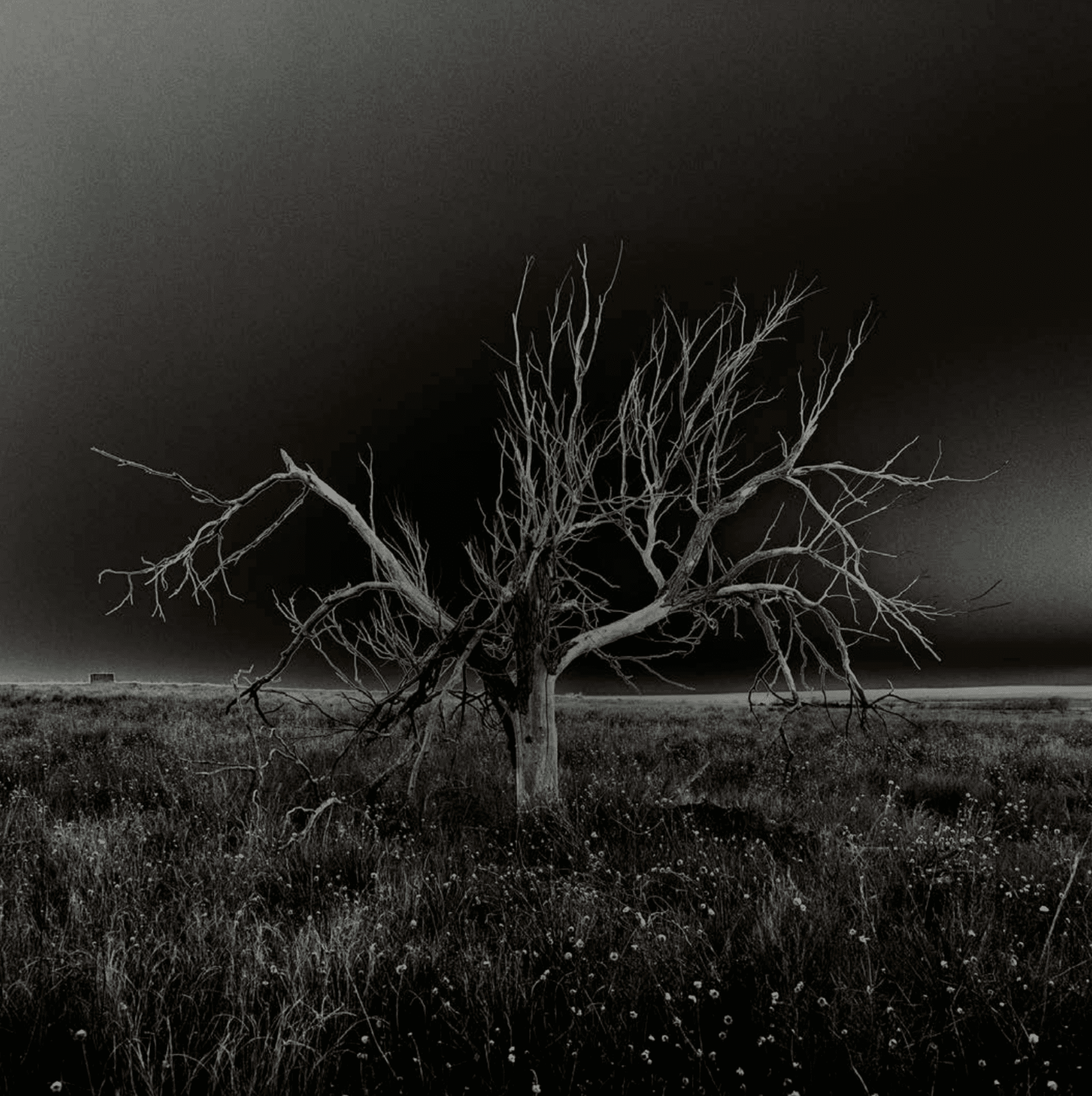 Screenshot 2026-03-06 at 11.43.00 AM