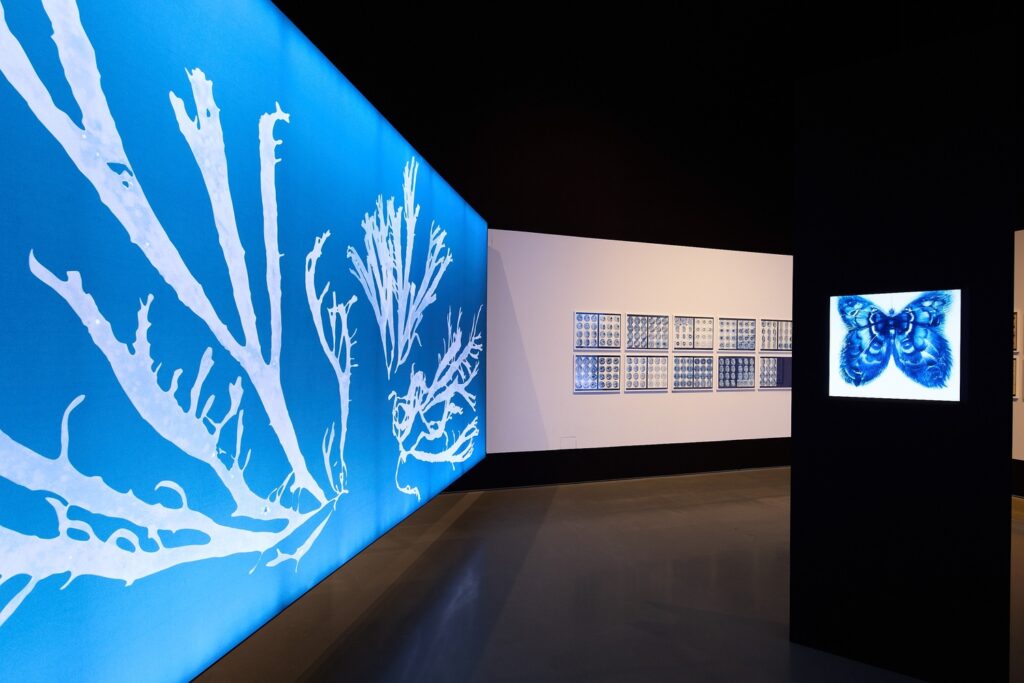 "Temporally Uncaptured" (series) (2023-24) by Sofia Crespo is featured in the exhibition "Imaging After Photography," which runs through May 9, 2026 at the Moody Center for the Arts at Rice University. (Photo by Alex Marks)