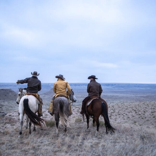 A Texas Legend Returns — Inside the New Fort Worth Photography Exhibit Capturing the XIT Ranch Revival