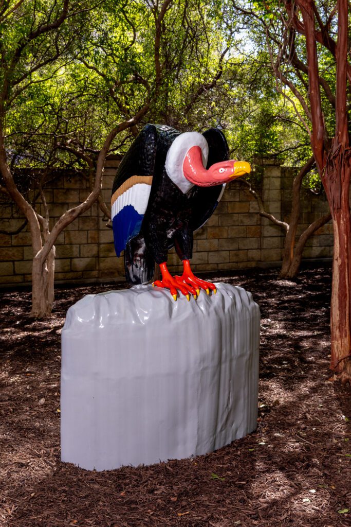 "Turkey Vulture" by Will Boone on Dallas' Katy Trail. (Photo by Kevin Tadora)