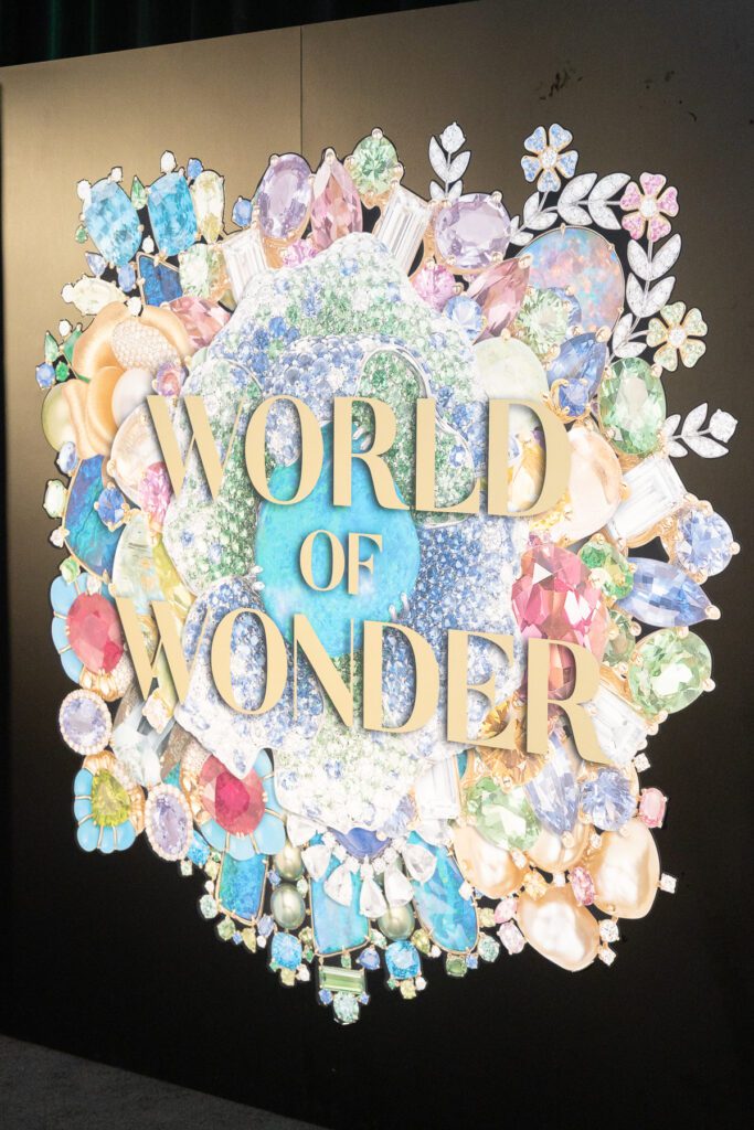The 71st ball was themed "World of Wonder" (Photo by Derek Gower)
