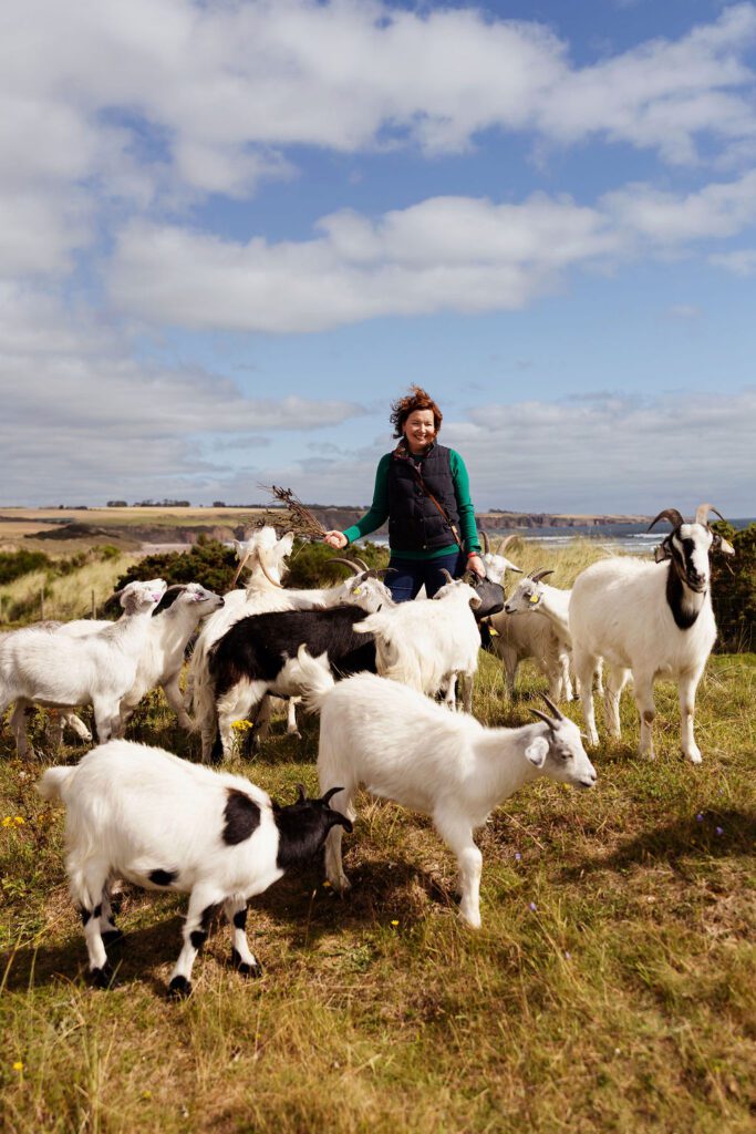 Jillian McEwan tending to her herd of Scottish Cashmere goats at Lunan Bay Farm in Angus, showcasing regenerative farming practices and the farm’s Scottish Cashmere and goat experience offering along the Angus coastline.