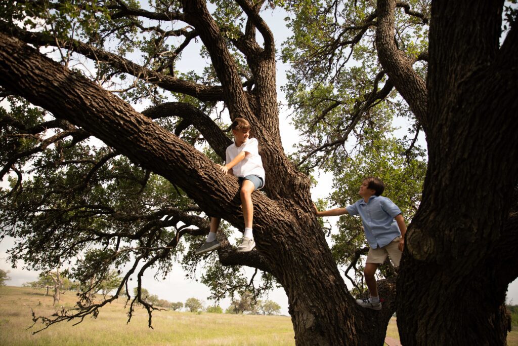 The Waldorf Astoria team is preparing to launch a second collection of homes this summer, and if it sells as quickly as the initial collection, buyers should be prepared to move quickly.