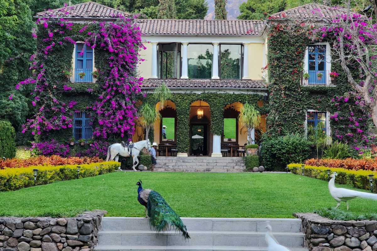 Inside a Houston Couple's Charming Mexican Retreat and Wedding Land — Feronia Brings Natural Beauty and a Mystical Ambience
