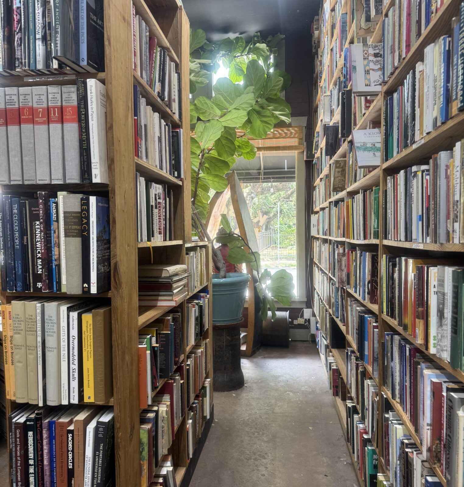 Houston’s Best Bookstores — 15 Havens For Readers In This Underrated Book Land With Galveston and The Woodlands Chipping In