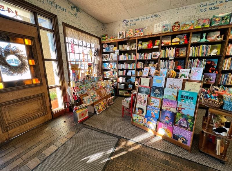 children blue willow books houston