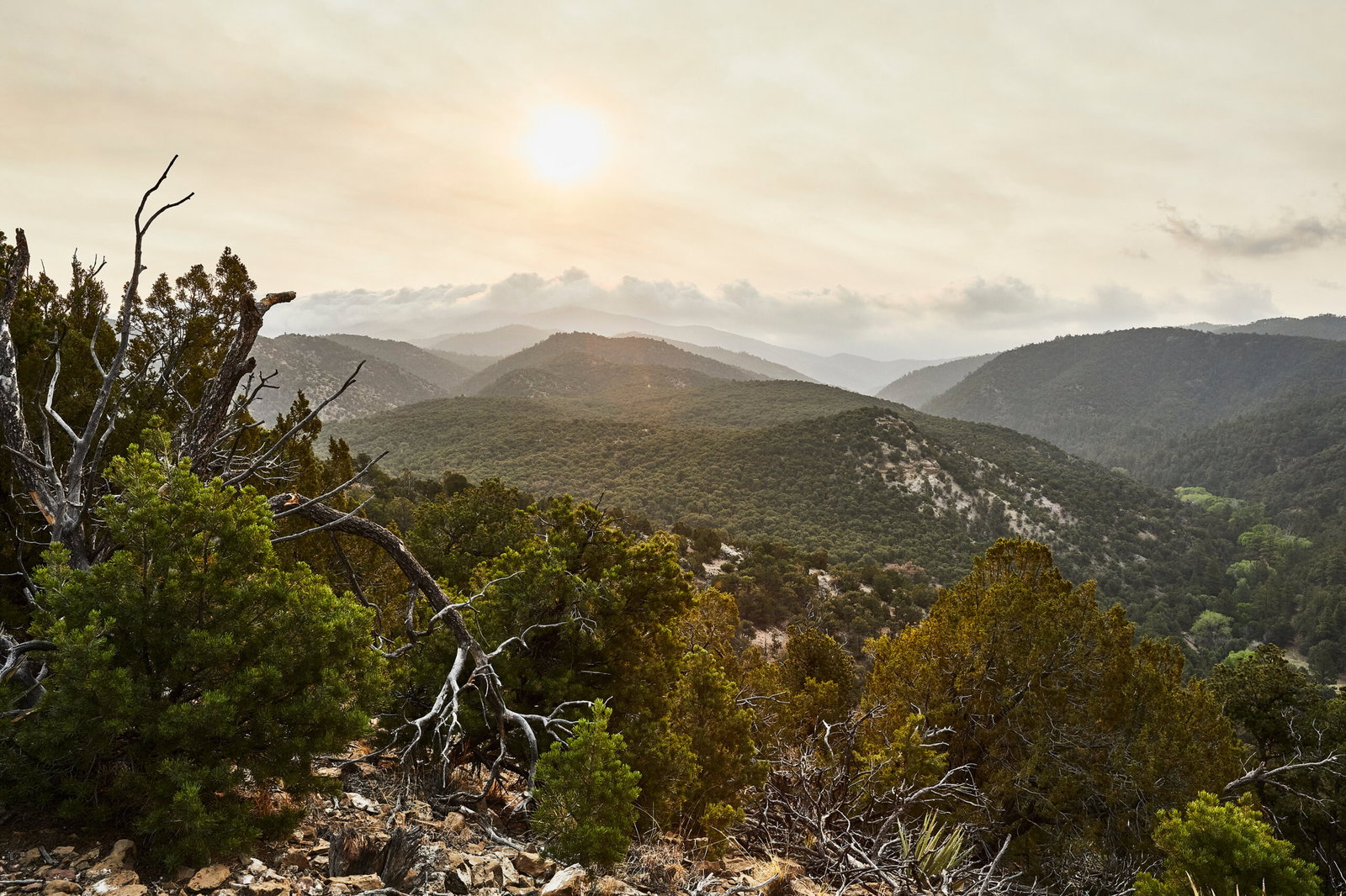 BL_Exteriors_Scenics_2022_052A8182-R1 (Photo by Auberge Collection)
