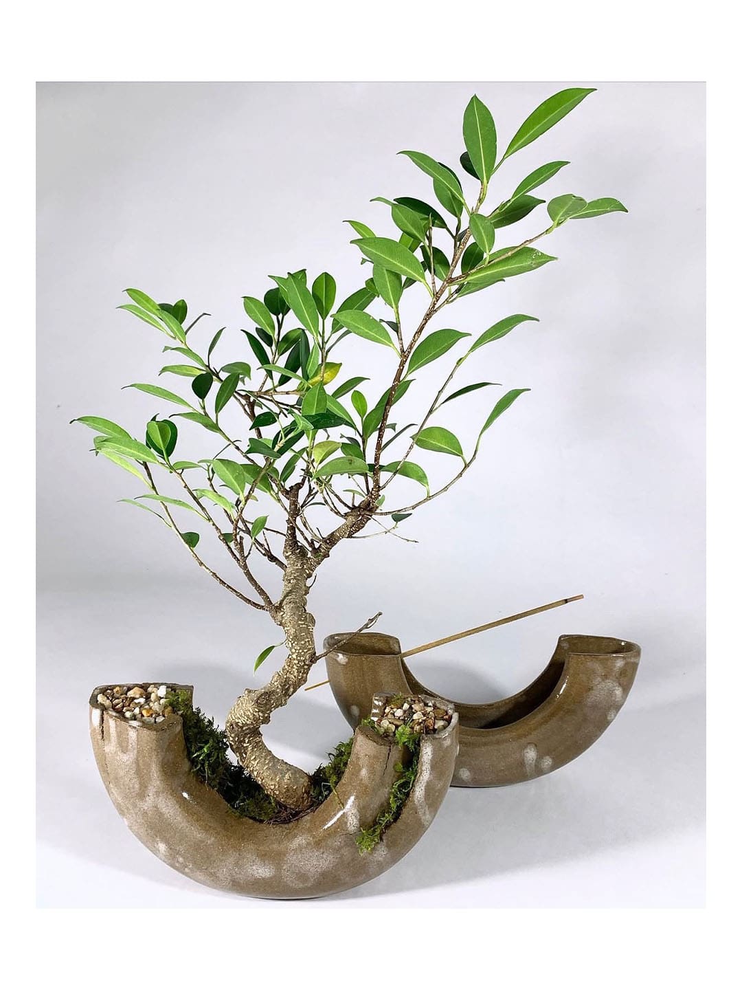 Soup Ceramics, "Bonsai & Incense," 2023, at Houston Artist Market, Picnic Surf Shapes booth, Untitled Art, Houston (Courtesy the artist and Picnic Surf Shapes, Galveston)